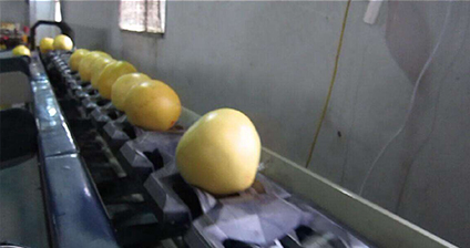清洗打蠟風(fēng)干機(jī)