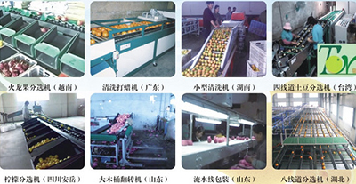 臺灣選果機
