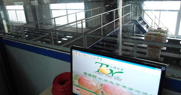 電腦選果機(jī)