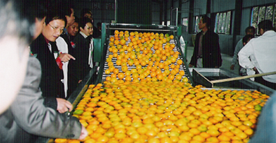 果蔬清洗機(jī)