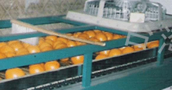 清洗打蠟風(fēng)干機(jī)